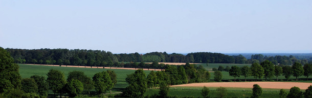 Baumberge Münsterland